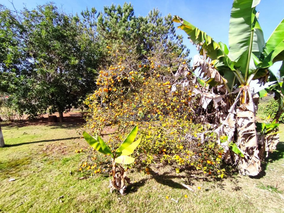 Imagens do imóveis Sitio Tamarana - PR