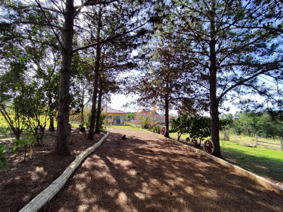 Imagens do imóveis Sitio Tamarana - PR
