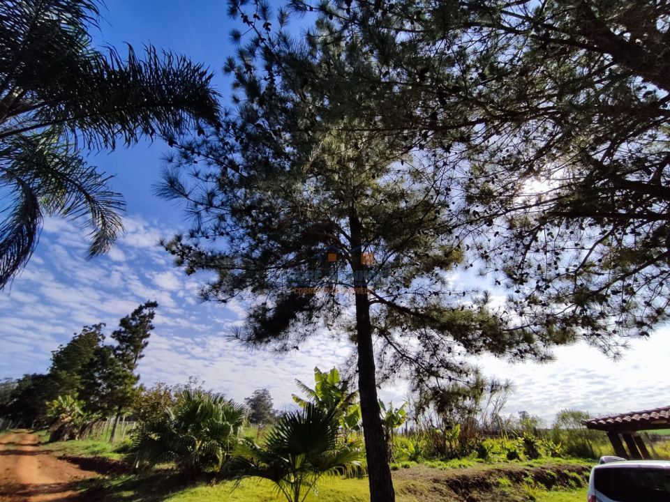 Imagens do imóveis Sitio Tamarana - PR