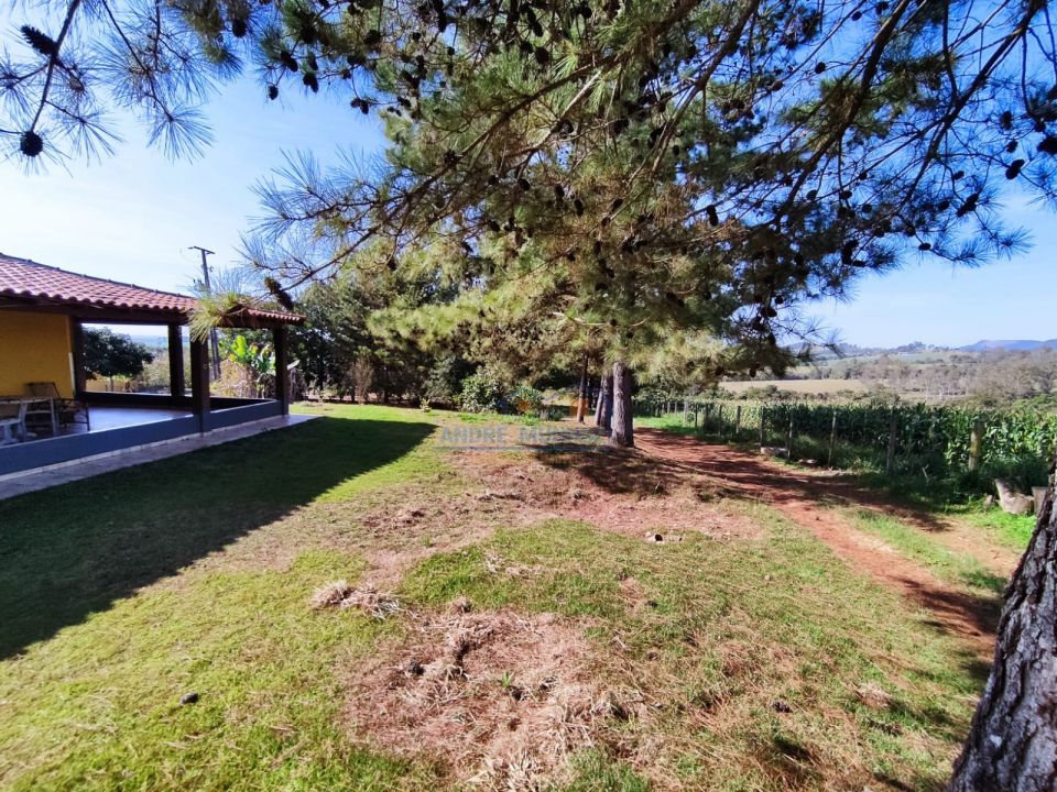 Imagens do imóveis Sitio Tamarana - PR