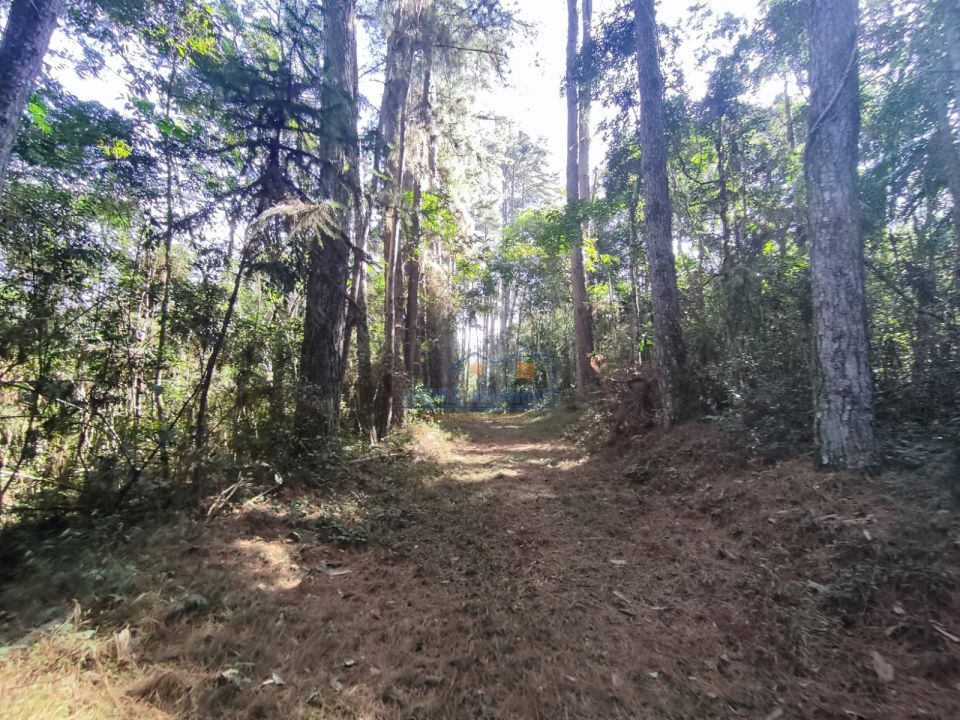 Imagens do imóveis Sitio Tamarana - PR