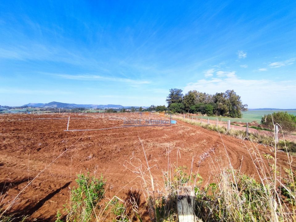 Imagens do imóveis Sitio Tamarana - PR