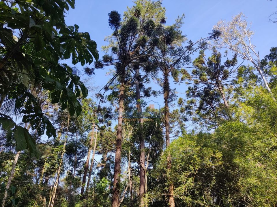 Imagens do imóveis Sitio Tamarana - PR