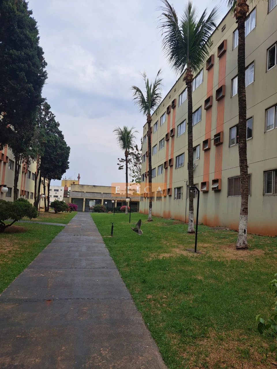 Imagens do imóveis Apartamento a Venda Parque Universitário Londrina