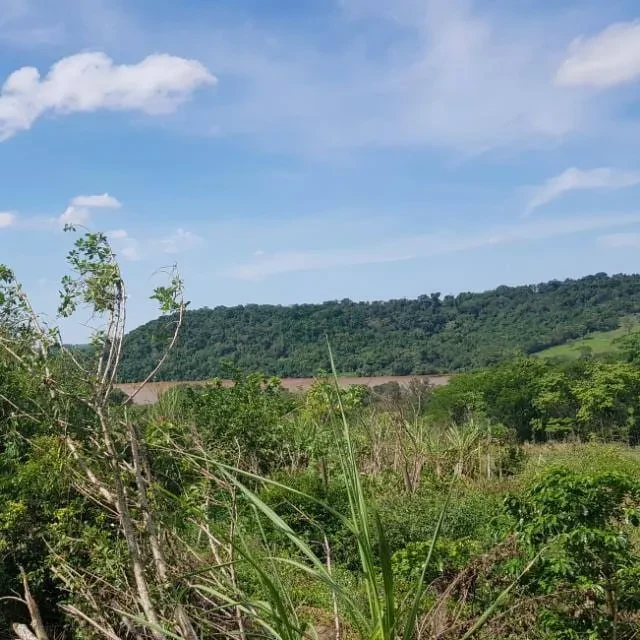 Imagens do imóveis Chácara à Venda no Condomínio Recanto do Dourado – Ibiporã/PR