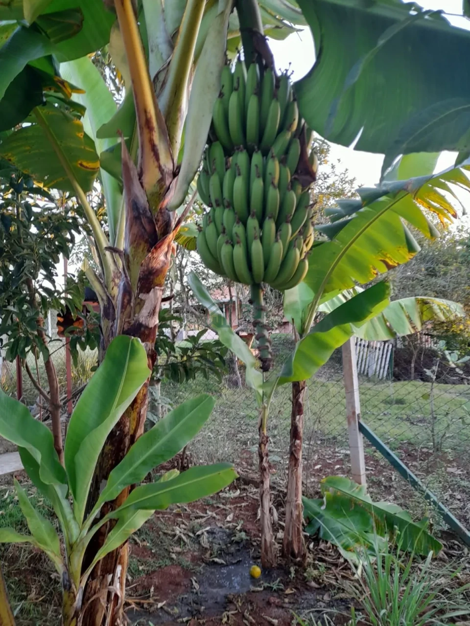 Imagens do imóveis Chácara à Venda no Condomínio Recanto do Dourado – Ibiporã/PR