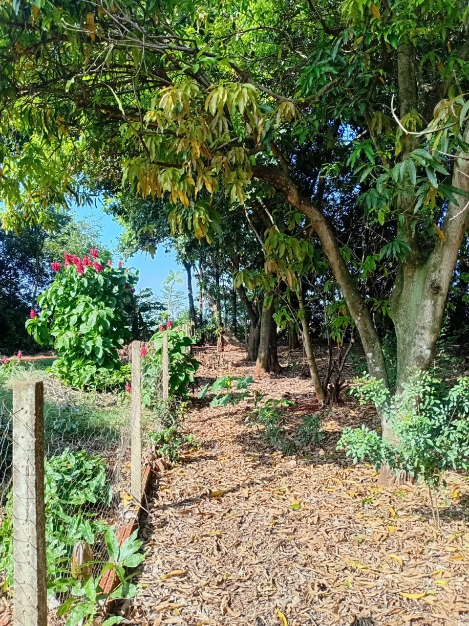 Imagens do imóveis Chácara à venda – Vila Rural Taquara do Reino