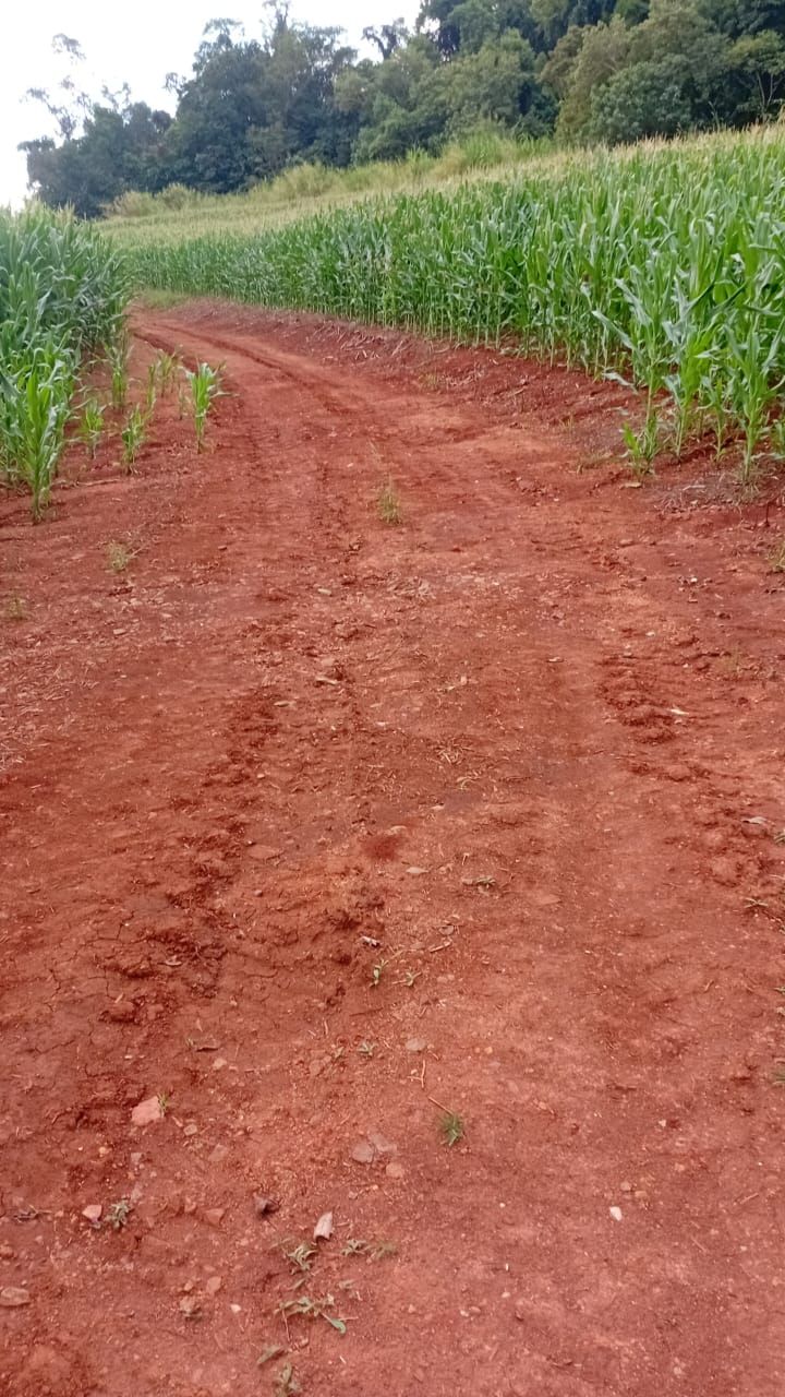 Grande Oportunidade em Rolândia ? Área com Potencial de Expansão Urbana!
