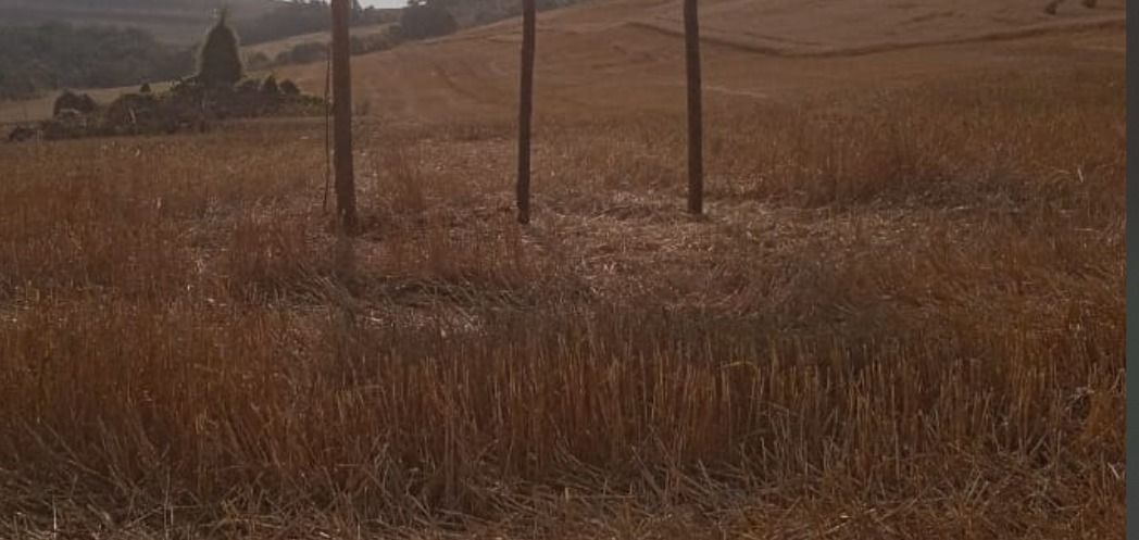 Sítio à Venda ? entre a região de São Luiz e Guaravera