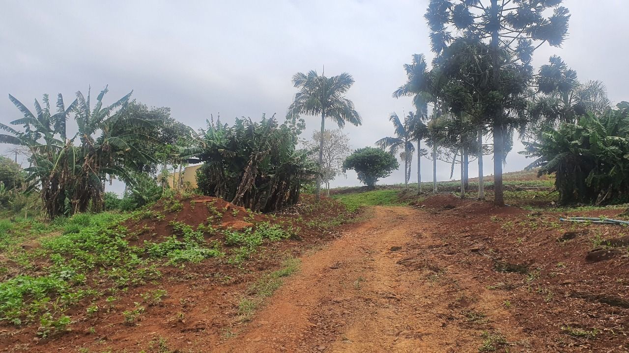 Sítio à venda em Londrina ? PR (Distrito de Taquaruna)