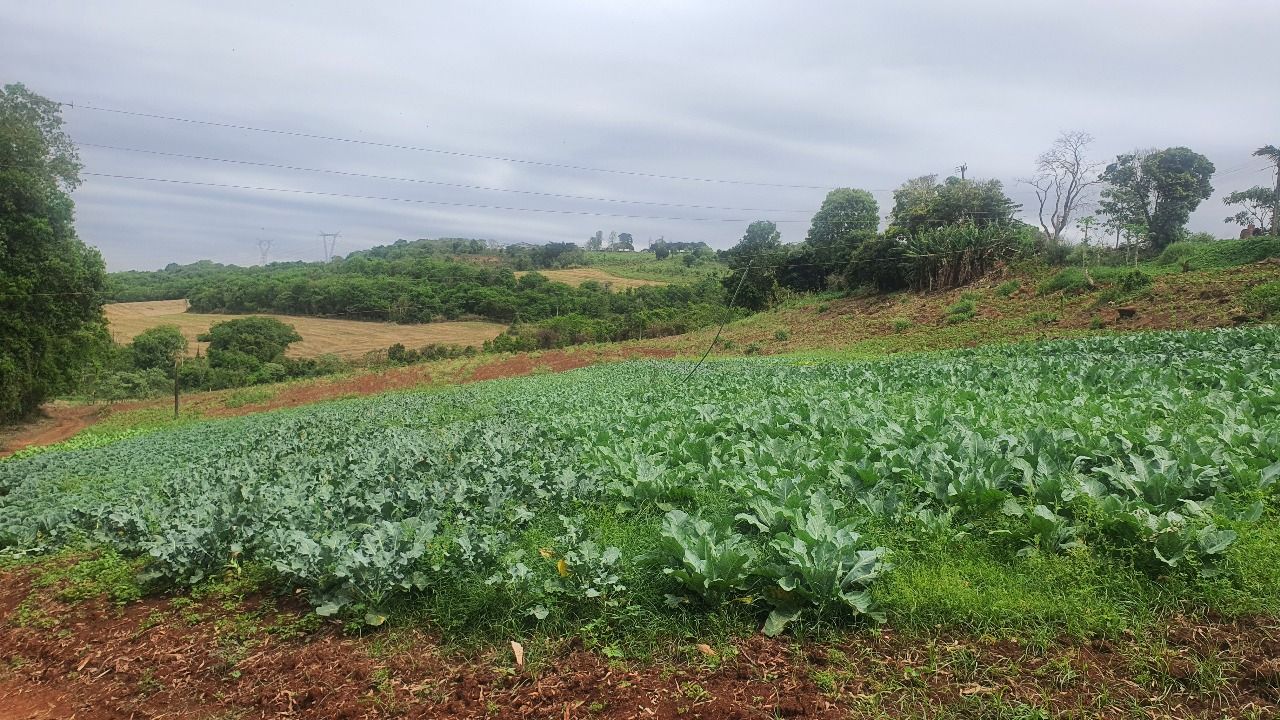 Sítio à venda em Londrina ? PR (Distrito de Taquaruna)