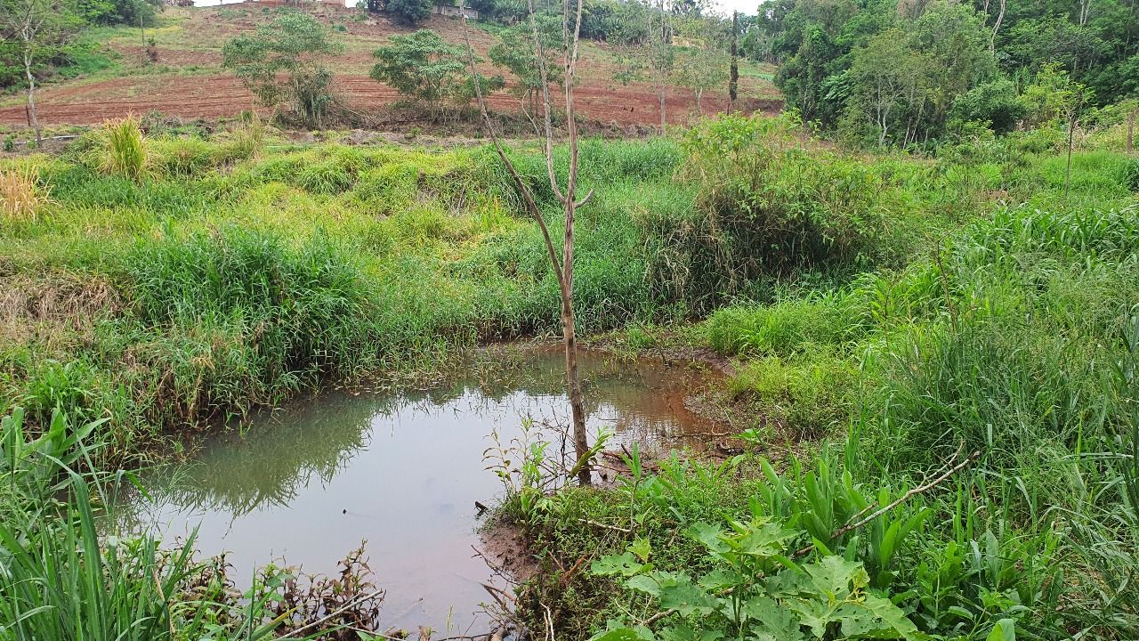 Sítio à venda em Londrina ? PR (Distrito de Taquaruna)