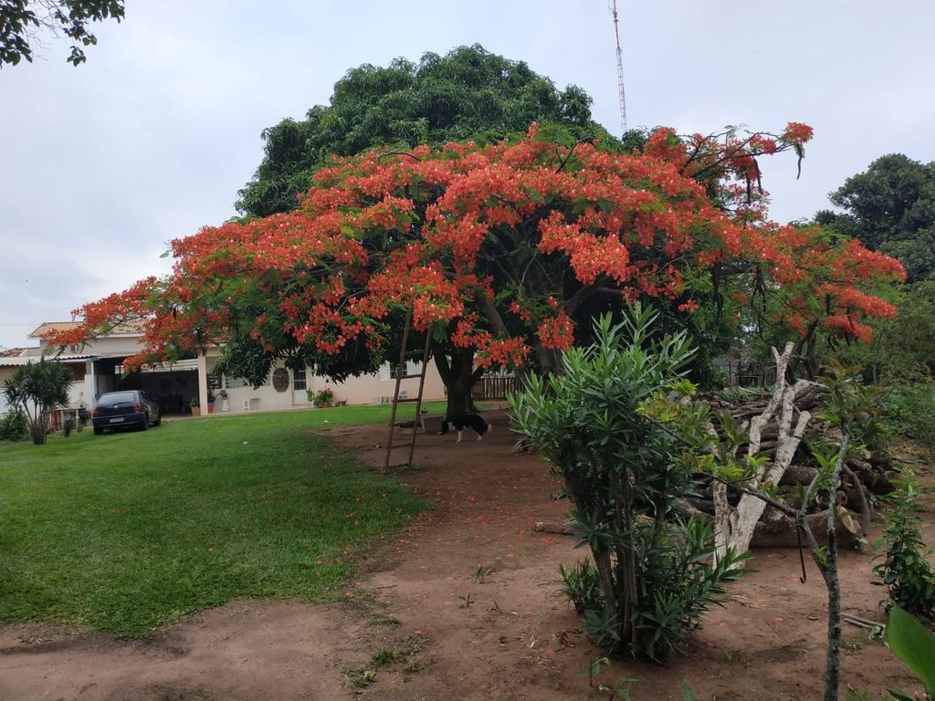 Chácara à Venda em Pompéia/SP ? Qualidade de Vida e Bem-Estar!