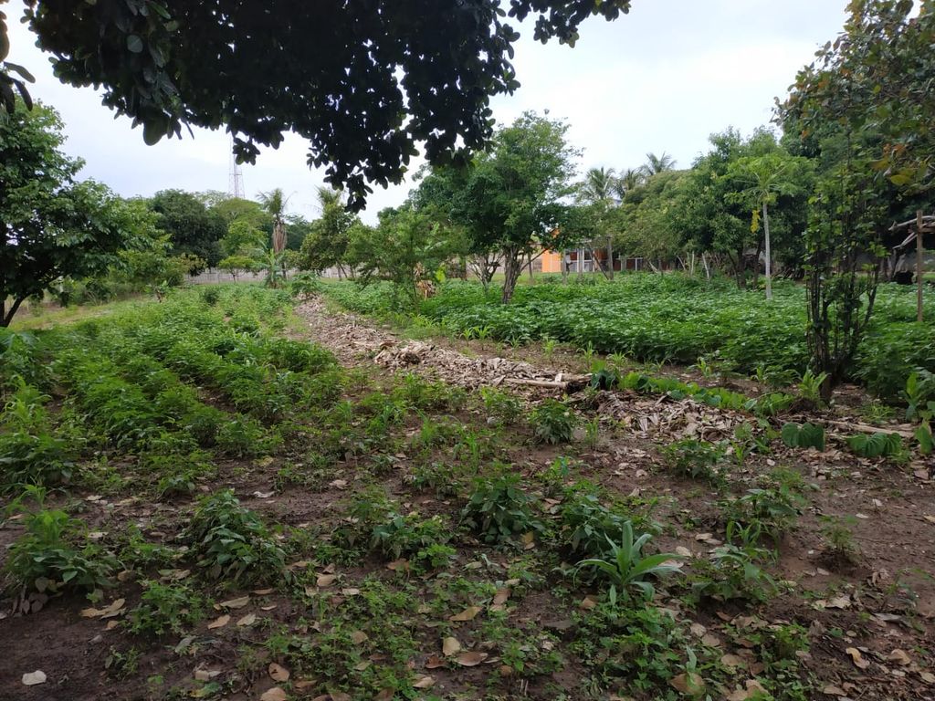 Chácara à Venda em Pompéia/SP ? Qualidade de Vida e Bem-Estar!