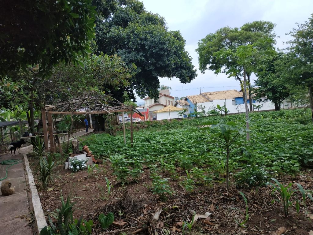 Chácara à Venda em Pompéia/SP ? Qualidade de Vida e Bem-Estar!