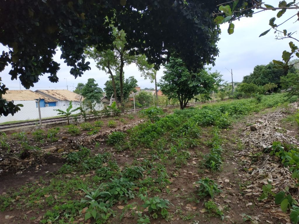 Chácara à Venda em Pompéia/SP ? Qualidade de Vida e Bem-Estar!