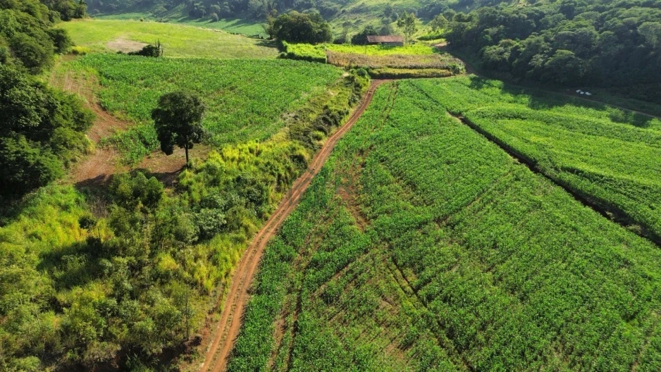 Imagens do imóveis SÍTIO À VENDA – OPORTUNIDADE EM BORRAZÓPOLIS/PR