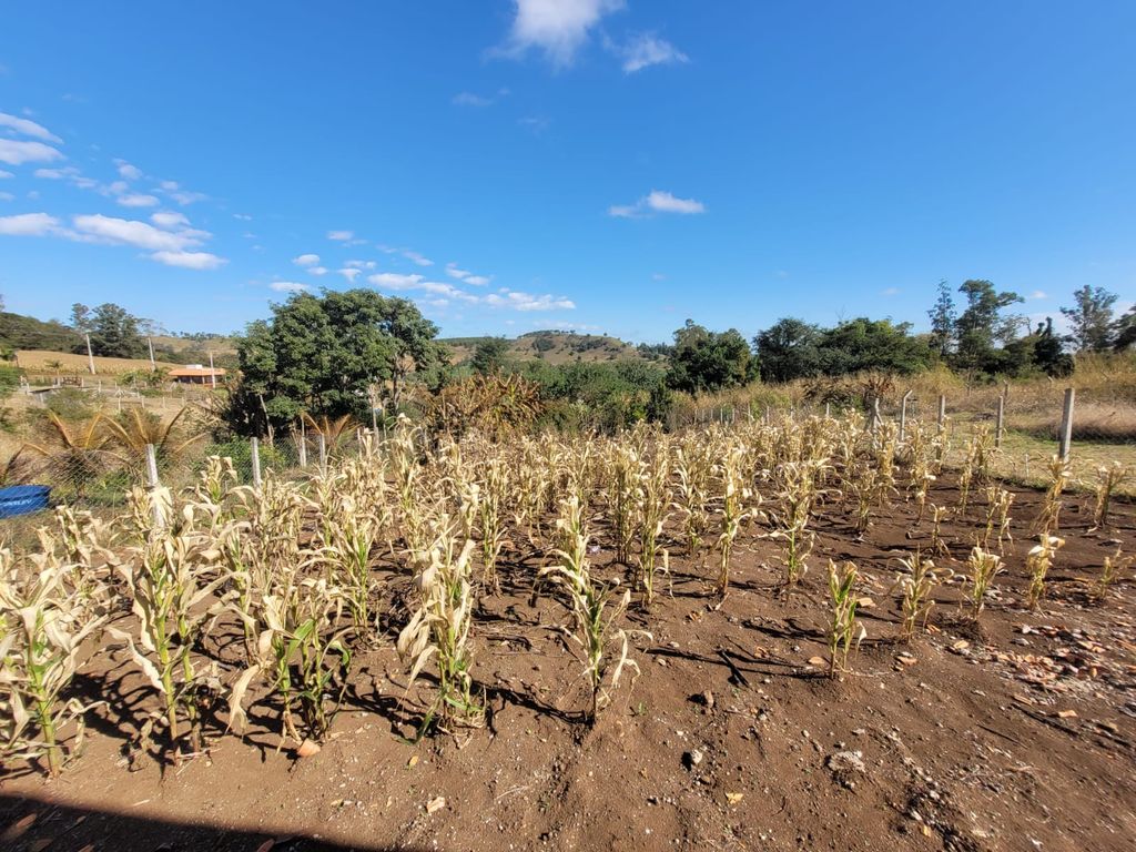 ? Chácara à Venda ? 1.000 m² ? Próximo à Cocamar da Serrinha ? Londrina/PR