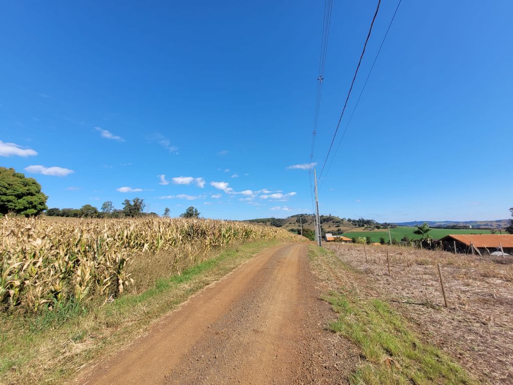 ? Chácara à Venda ? 1.000 m² ? Próximo à Cocamar da Serrinha ? Londrina/PR