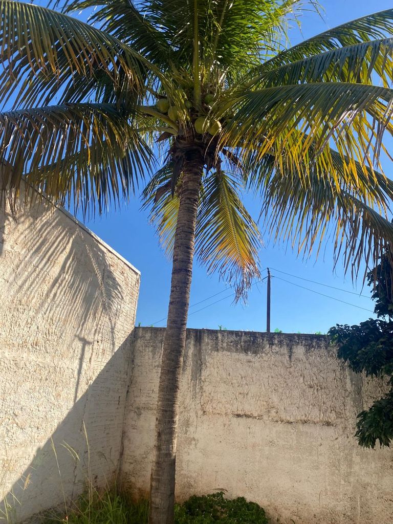 ? Casa à Venda ? Vila Casoni ? Londrina/PR