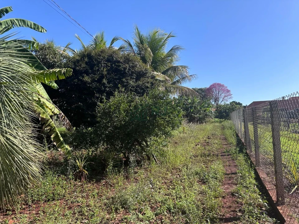 Imagens do imóveis Chácara à Venda em Sertanópolis – Espaço, Conforto e Tranquilidade