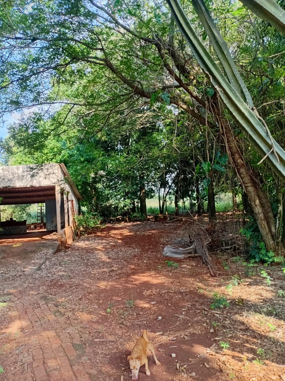 Imagens do imóveis Chácara à venda – Vila Rural Taquara do Reino