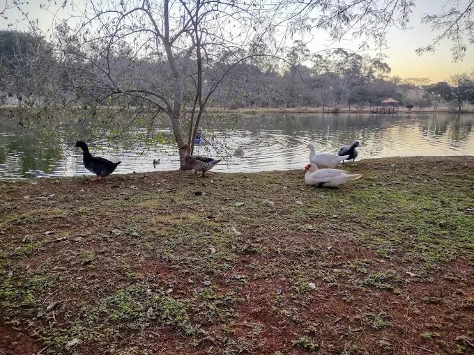 ? Terreno à venda no Condomínio Estância Santa Paula ? Cambé - Londrina/PR