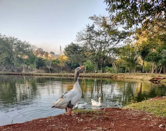? Terreno à venda no Condomínio Estância Santa Paula ? Cambé - Londrina/PR