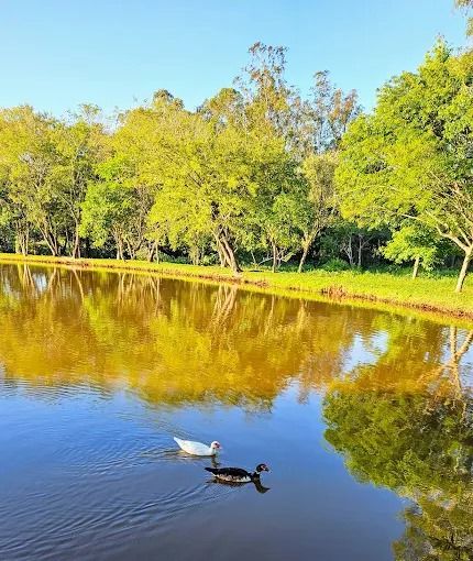? Terreno à venda no Condomínio Estância Santa Paula ? Cambé - Londrina/PR