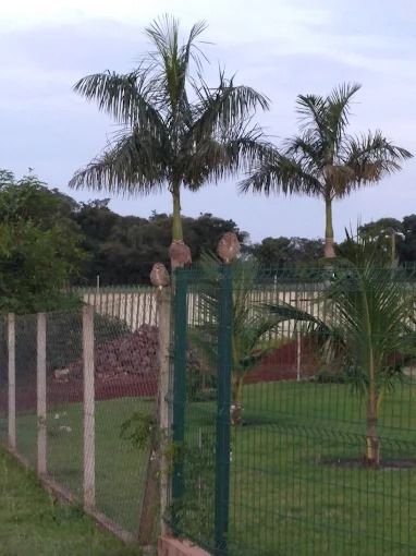 ? Terreno à venda no Condomínio Estância Santa Paula ? Cambé - Londrina/PR