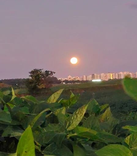 ? Terreno à venda no Condomínio Estância Santa Paula ? Cambé - Londrina/PR