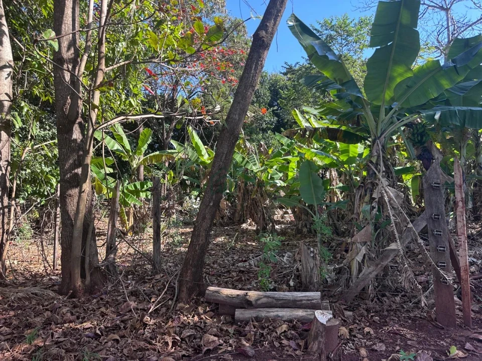 Imagens do imóveis Chácara à Venda em Sertanópolis – Espaço, Conforto e Tranquilidade