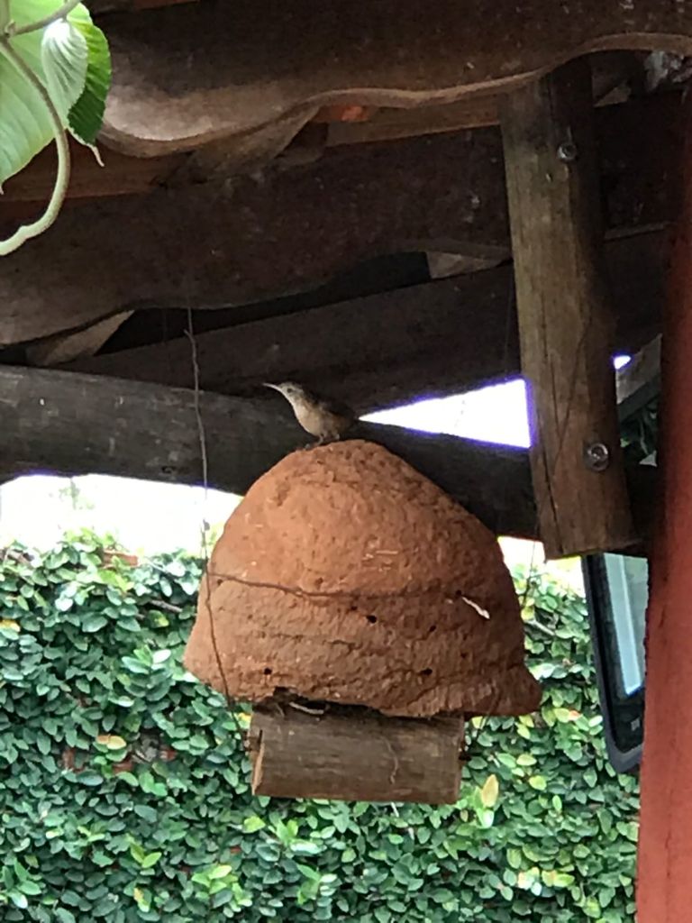 CHÁCARA EM CONDOMÍNIO FECHADO ? ZONA URBANA DE LONDRINA