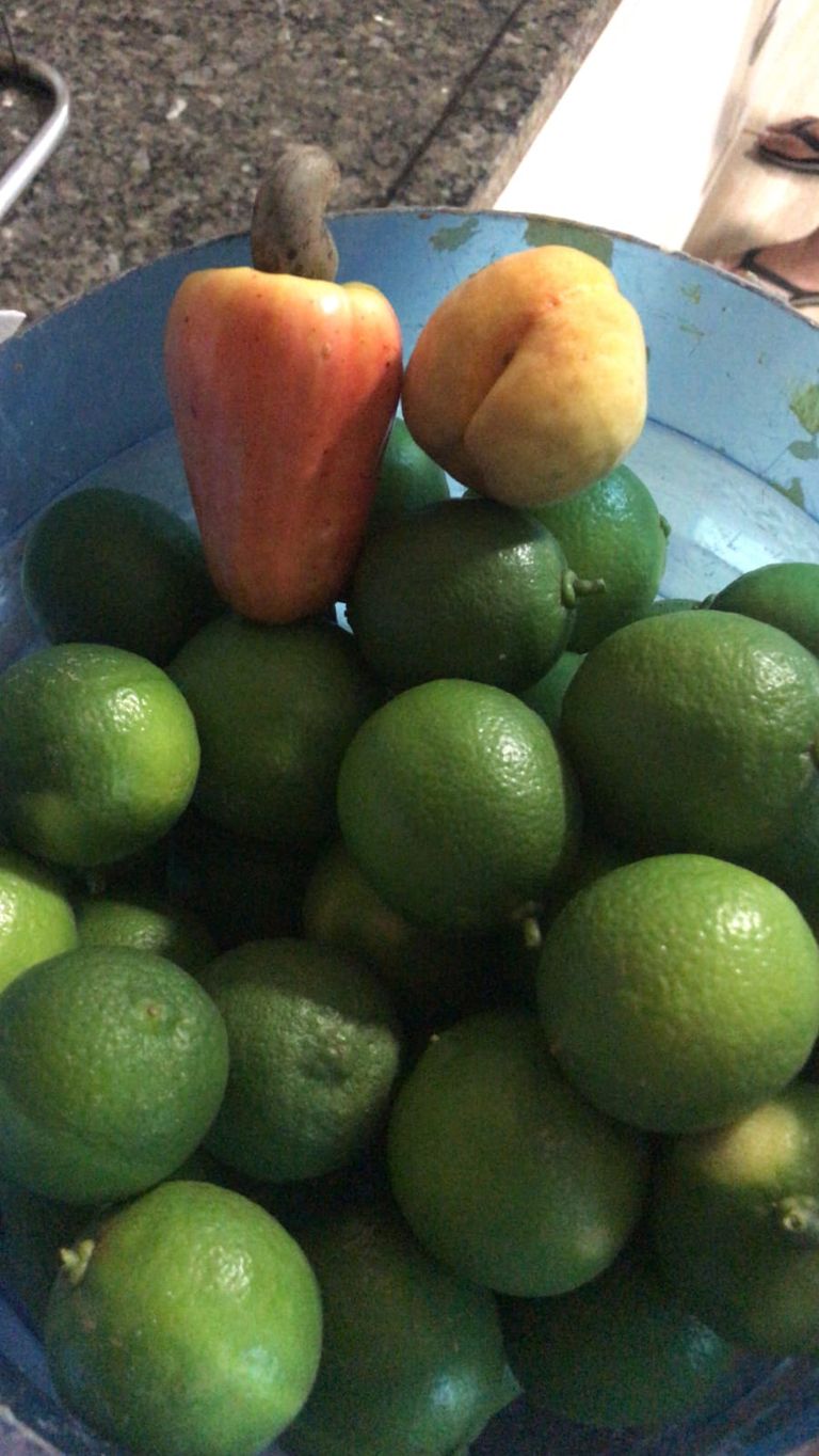 CHÁCARA EM CONDOMÍNIO FECHADO ? ZONA URBANA DE LONDRINA