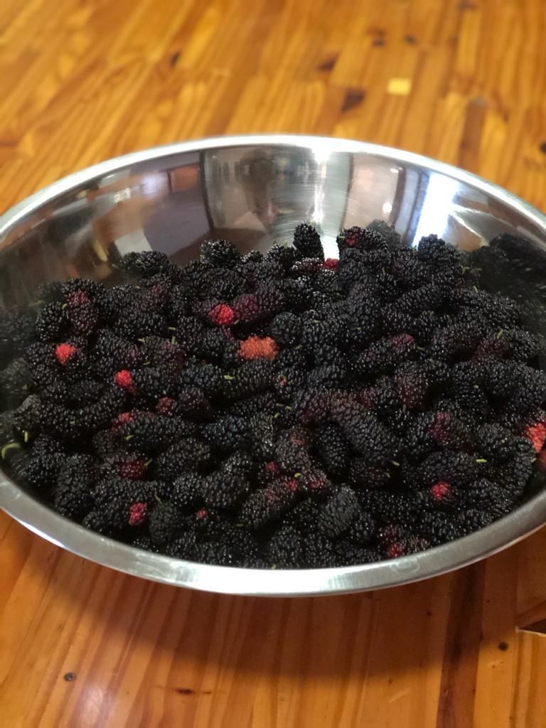 CHÁCARA EM CONDOMÍNIO FECHADO ? ZONA URBANA DE LONDRINA