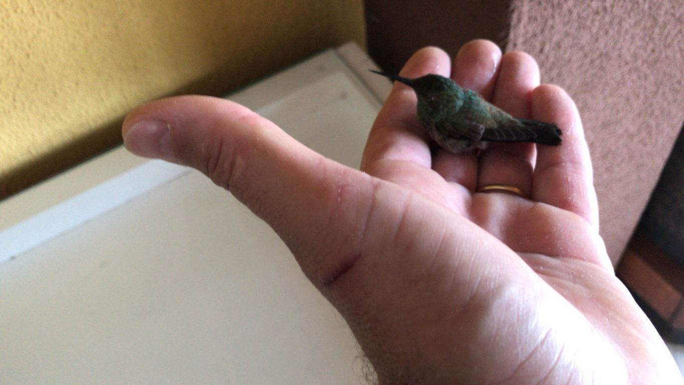 CHÁCARA EM CONDOMÍNIO FECHADO ? ZONA URBANA DE LONDRINA