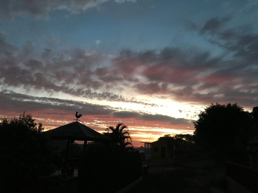 CHÁCARA EM CONDOMÍNIO FECHADO ? ZONA URBANA DE LONDRINA