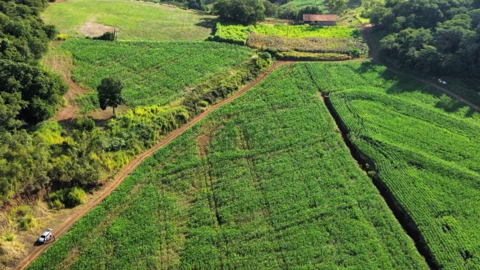 Imagens do imóveis SÍTIO À VENDA – OPORTUNIDADE EM BORRAZÓPOLIS/PR