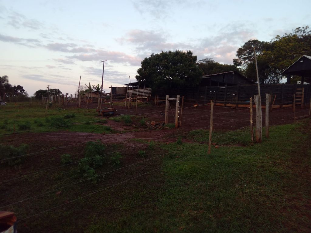 Vende-se Sítio na Zona Rural de Tamarana ? Oportunidade Única