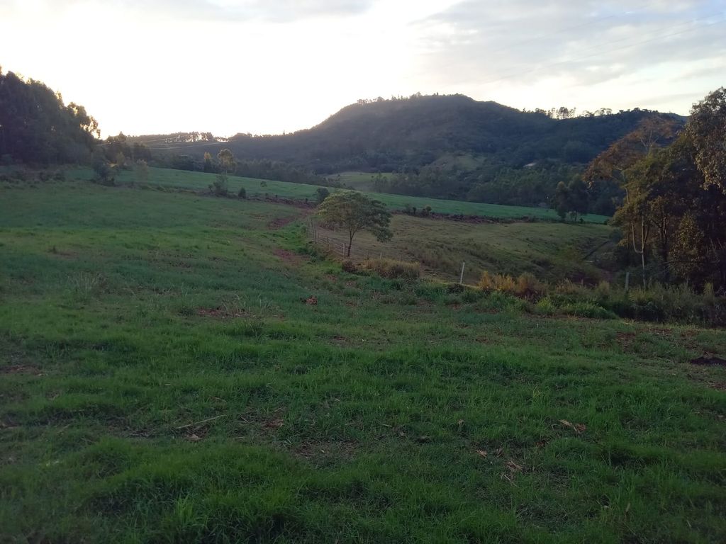 Vende-se Sítio na Zona Rural de Tamarana ? Oportunidade Única