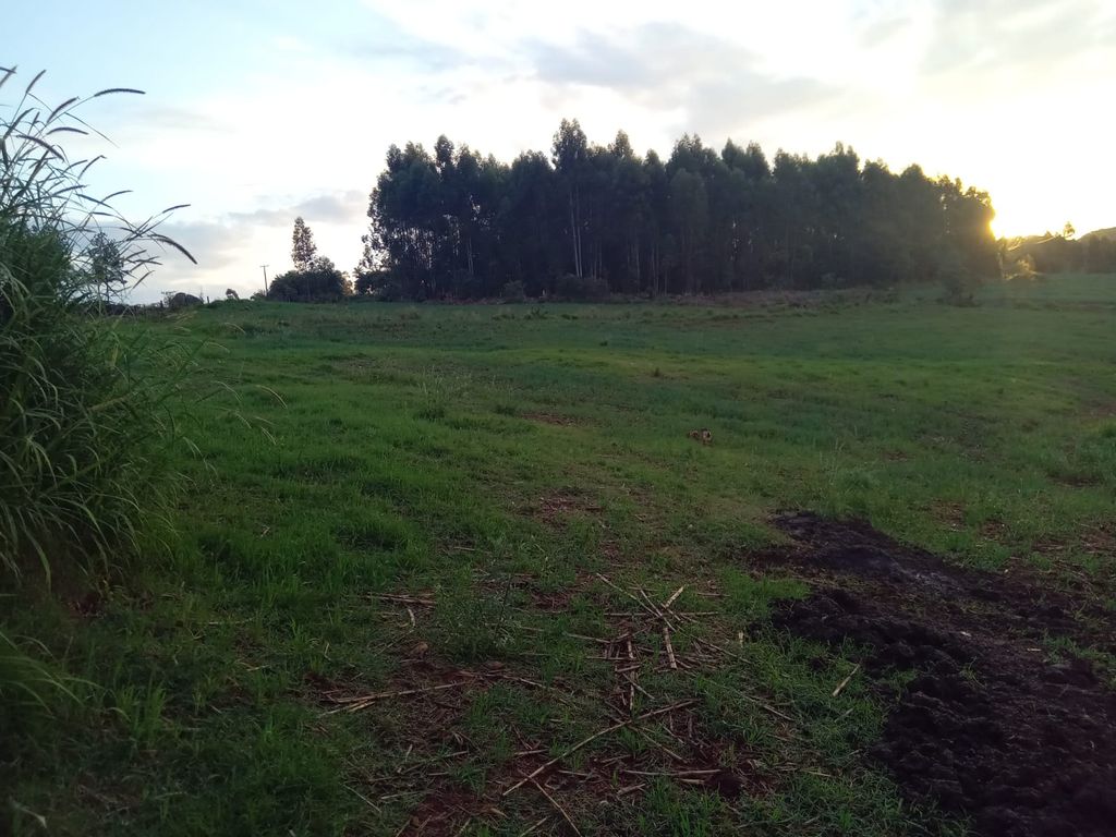 Vende-se Sítio na Zona Rural de Tamarana ? Oportunidade Única