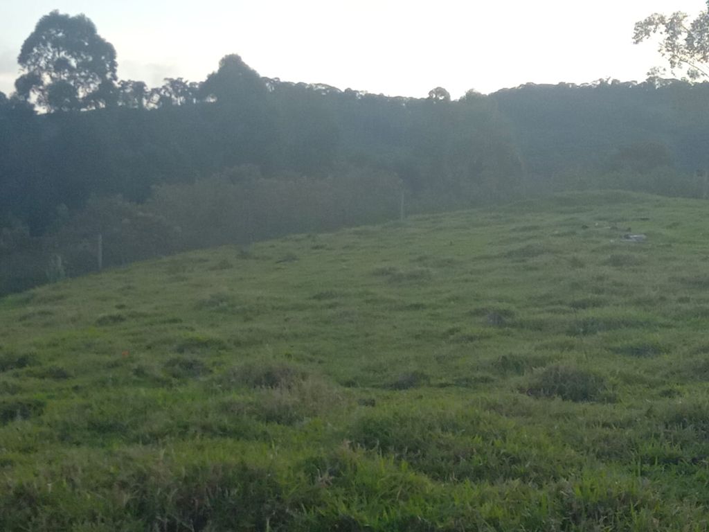 Vende-se Sítio na Zona Rural de Tamarana ? Oportunidade Única