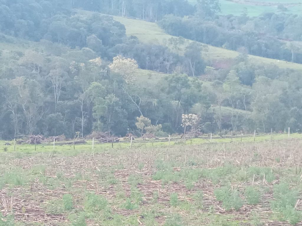 Vende-se Sítio na Zona Rural de Tamarana ? Oportunidade Única