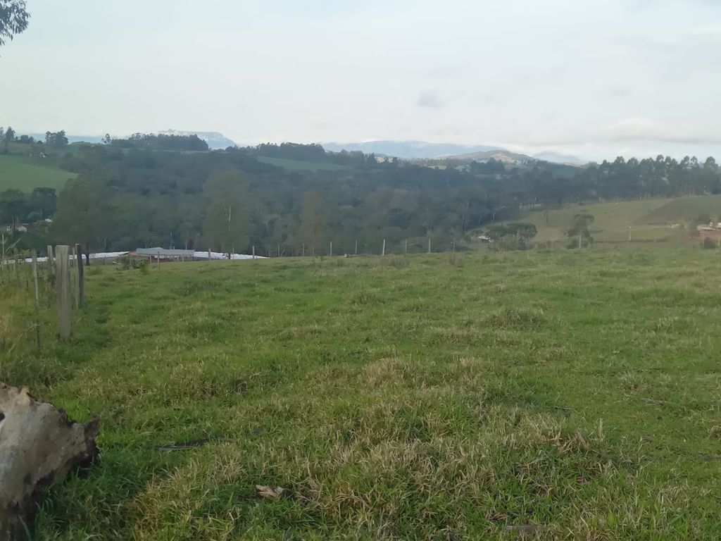 Vende-se Sítio na Zona Rural de Tamarana ? Oportunidade Única