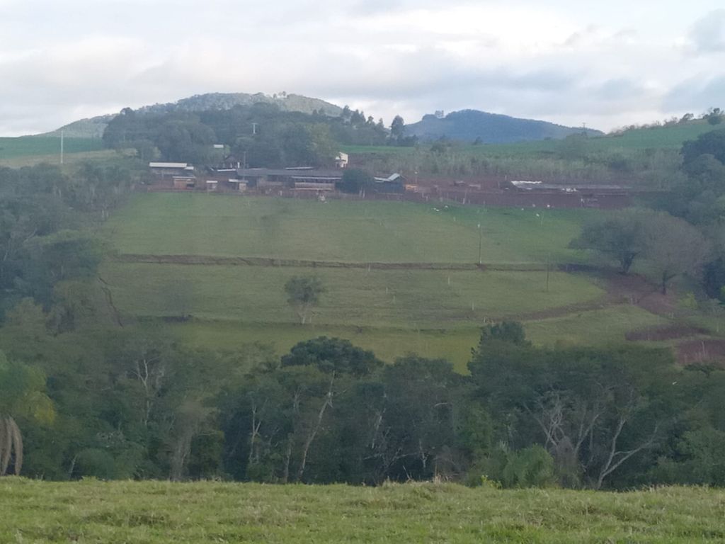 Vende-se Sítio na Zona Rural de Tamarana ? Oportunidade Única
