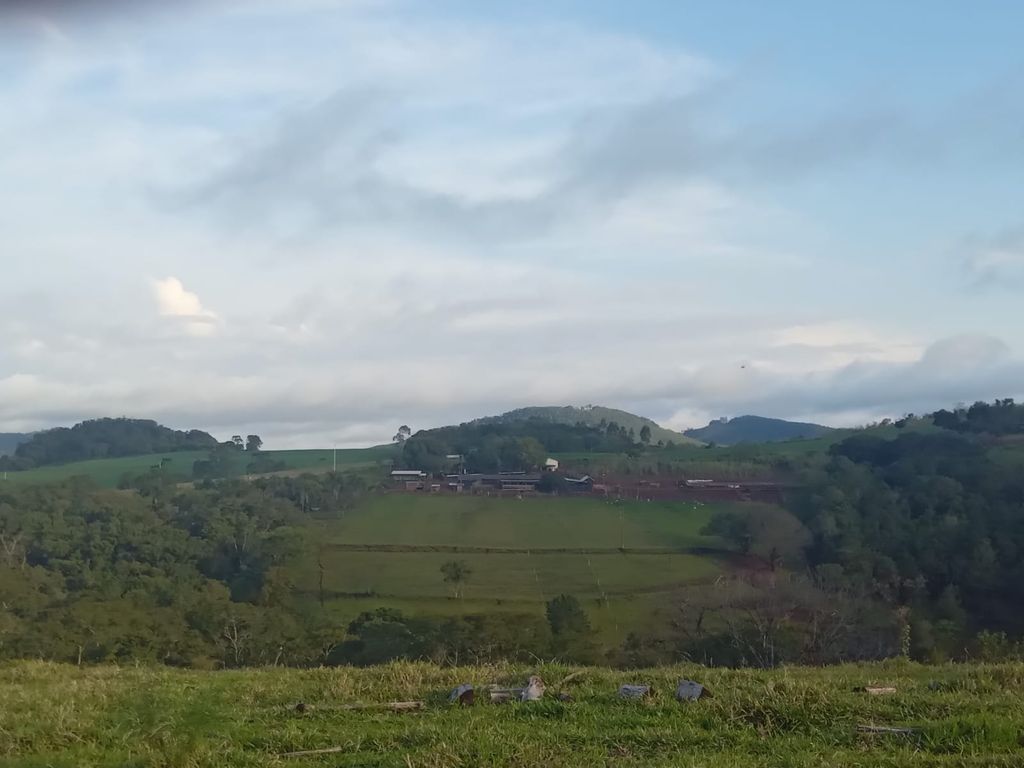 Vende-se Sítio na Zona Rural de Tamarana ? Oportunidade Única