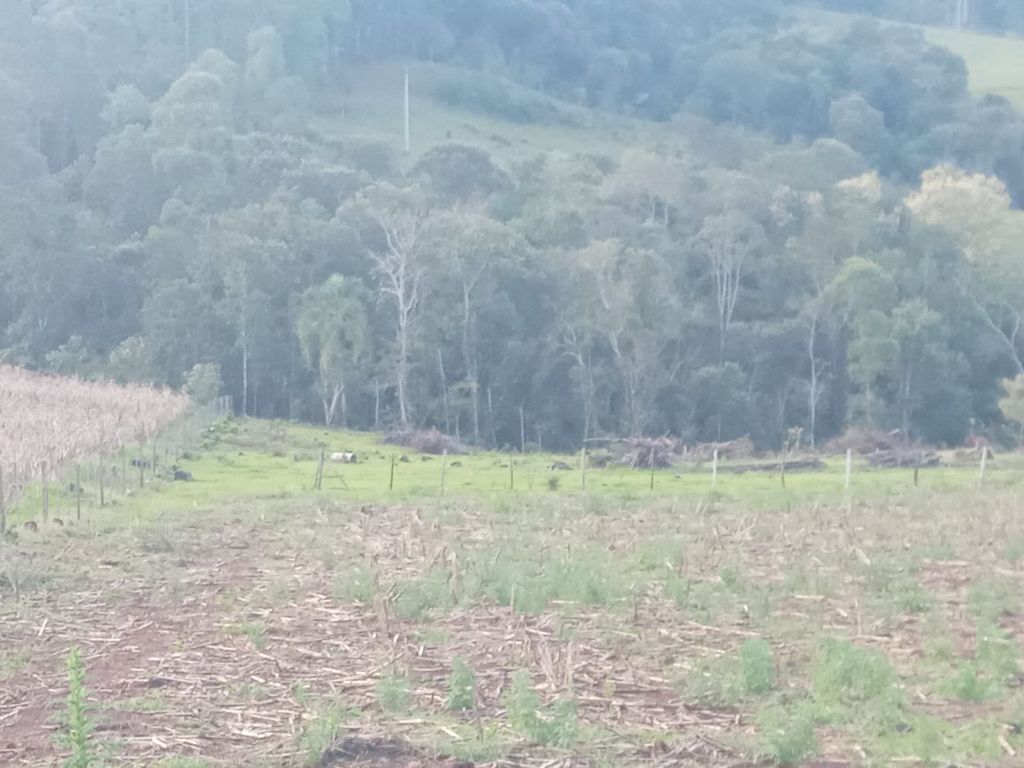 Vende-se Sítio na Zona Rural de Tamarana ? Oportunidade Única