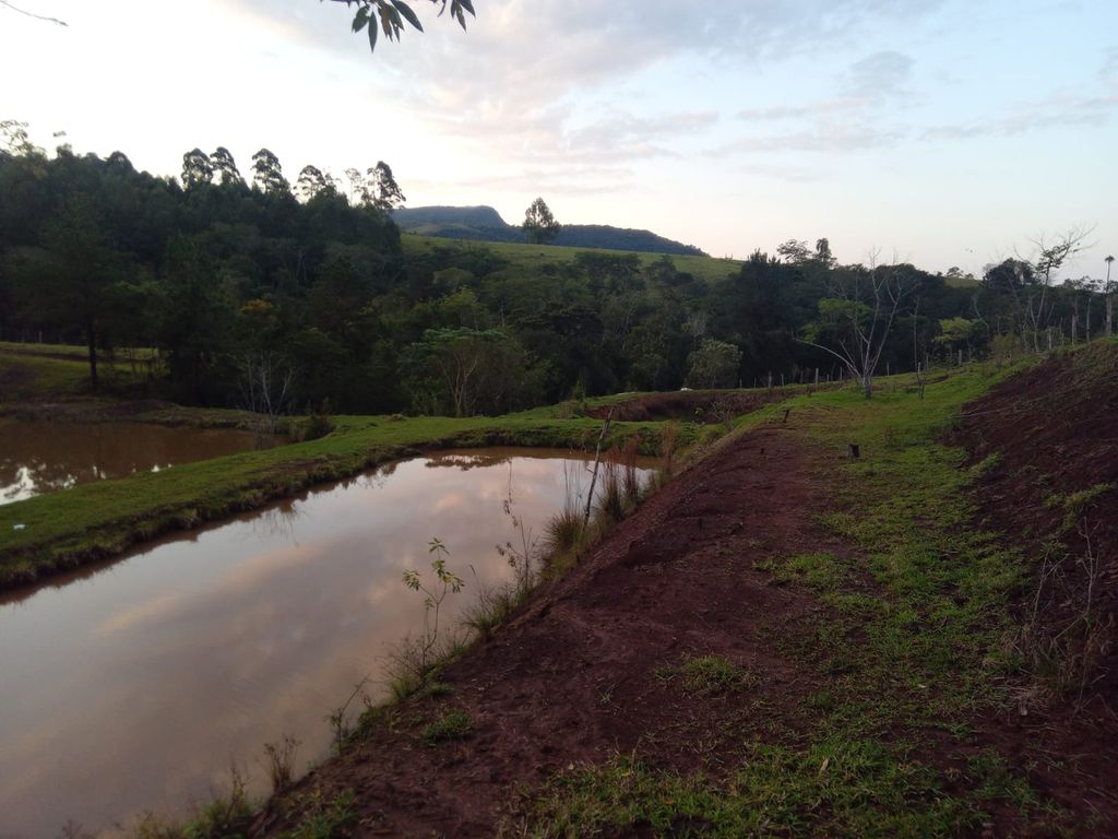 Vende-se Sítio na Zona Rural de Tamarana ? Oportunidade Única