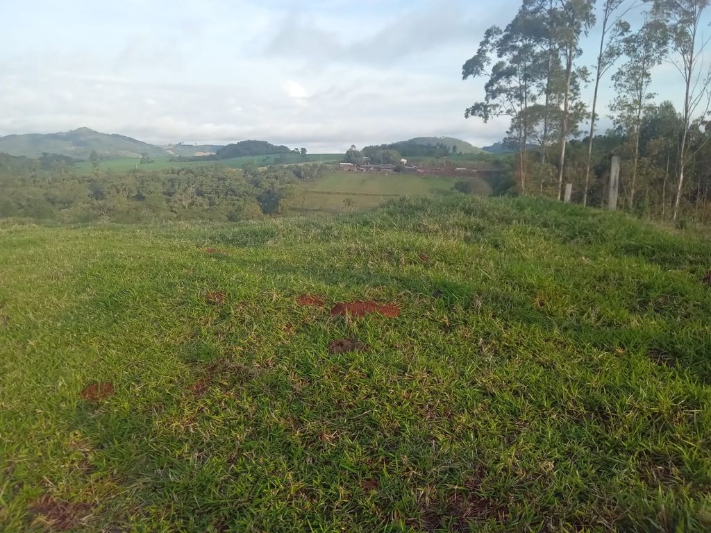 Vende-se Sítio na Zona Rural de Tamarana ? Oportunidade Única