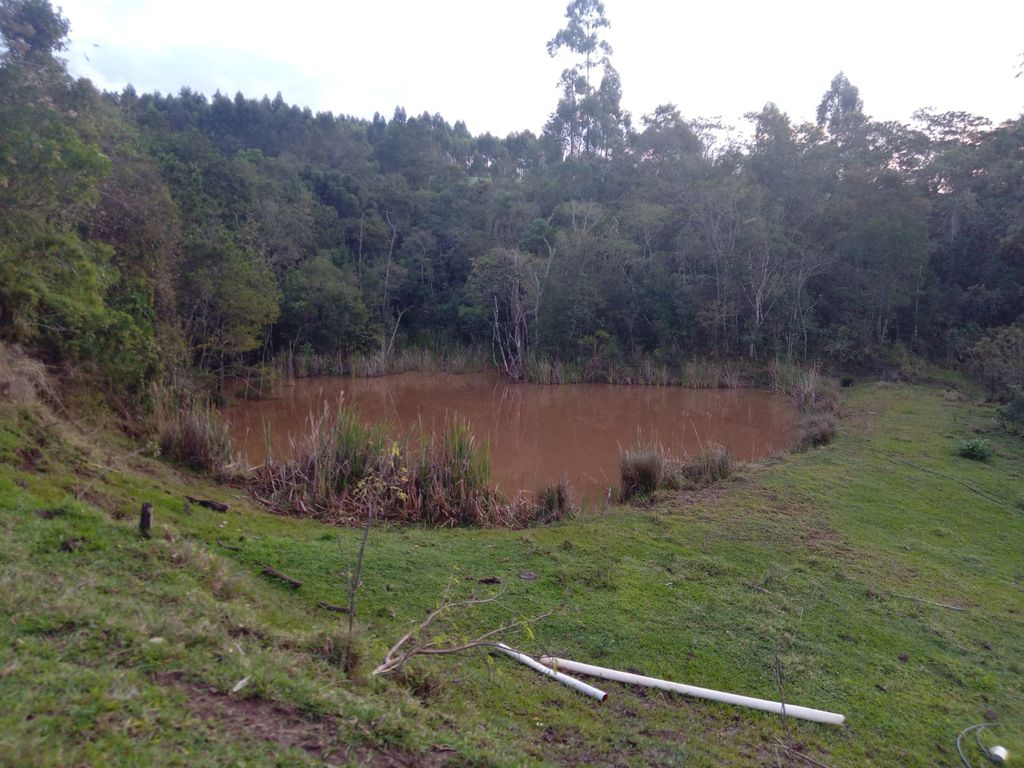 Vende-se Sítio na Zona Rural de Tamarana ? Oportunidade Única